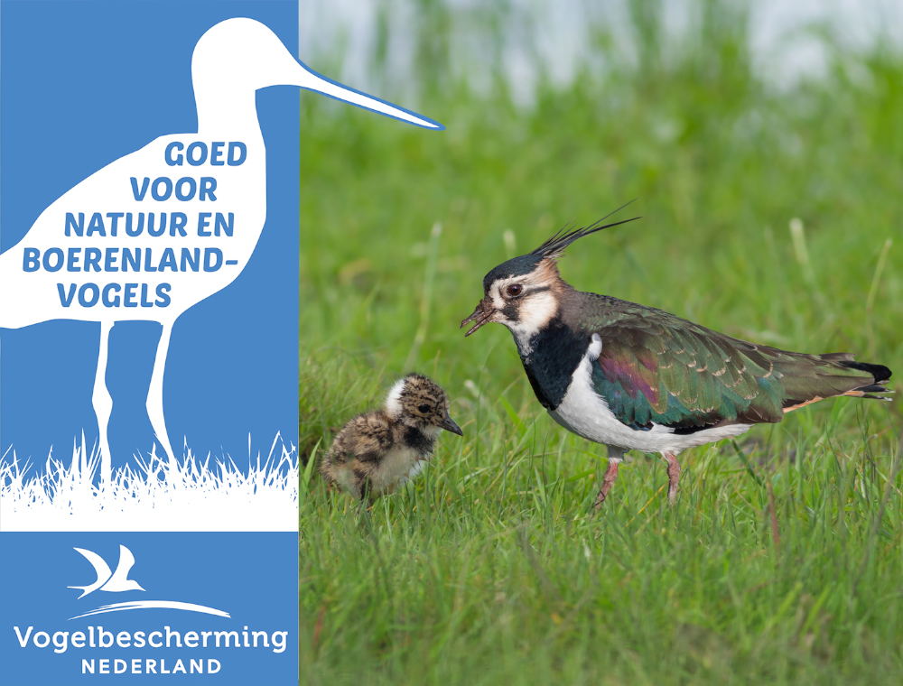 Goed voor natuur en boerenlandvogels